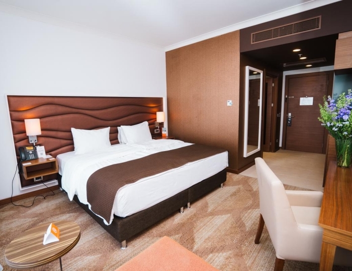 Стандарт 2-местный DBL - Отель Alpha Sirius / Альфа Сириус (бывш. Имеретинский)