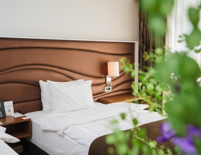 Стандарт 2-местный DBL\TWIN кровать трансормер - Отель Alpha Sirius / Альфа Сириус (бывш. Имеретинский)