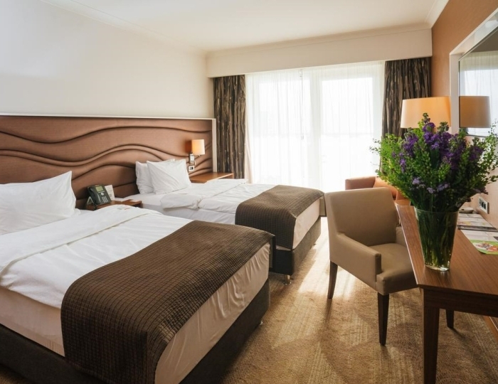 Стандарт 2-местный DBL\TWIN кровать трансормер - Отель Alpha Sirius / Альфа Сириус (бывш. Имеретинский)