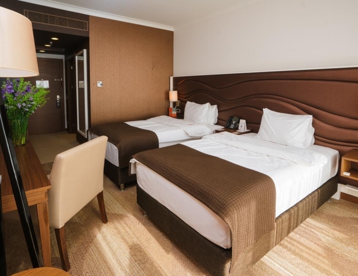 Стандарт 2-местный DBL\TWIN кровать трансормер - Отель Alpha Sirius / Альфа Сириус (бывш. Имеретинский)