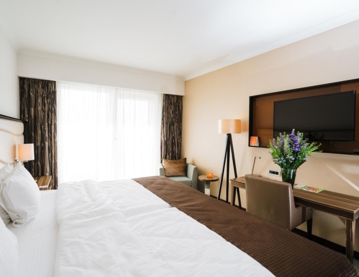 Стандарт 2-местный для ММГН - Отель Alpha Sirius / Альфа Сириус (бывш. Имеретинский)